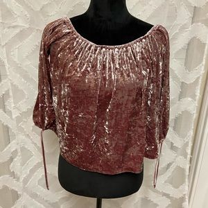 Gorgeous cropped American Eagle top. Looks like crushed velvet. Stunning